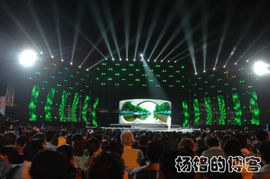 庄立新 搭建文化桥梁，促进艺术交流的组织者