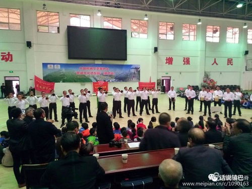 民间文艺绽放校园，文化传承走进镇巴——中国民间文艺家协会‘民间文化进校园’活动纪实